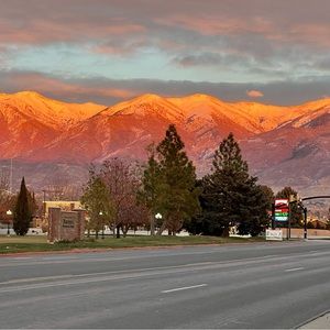 Meet your Posher, Laurie